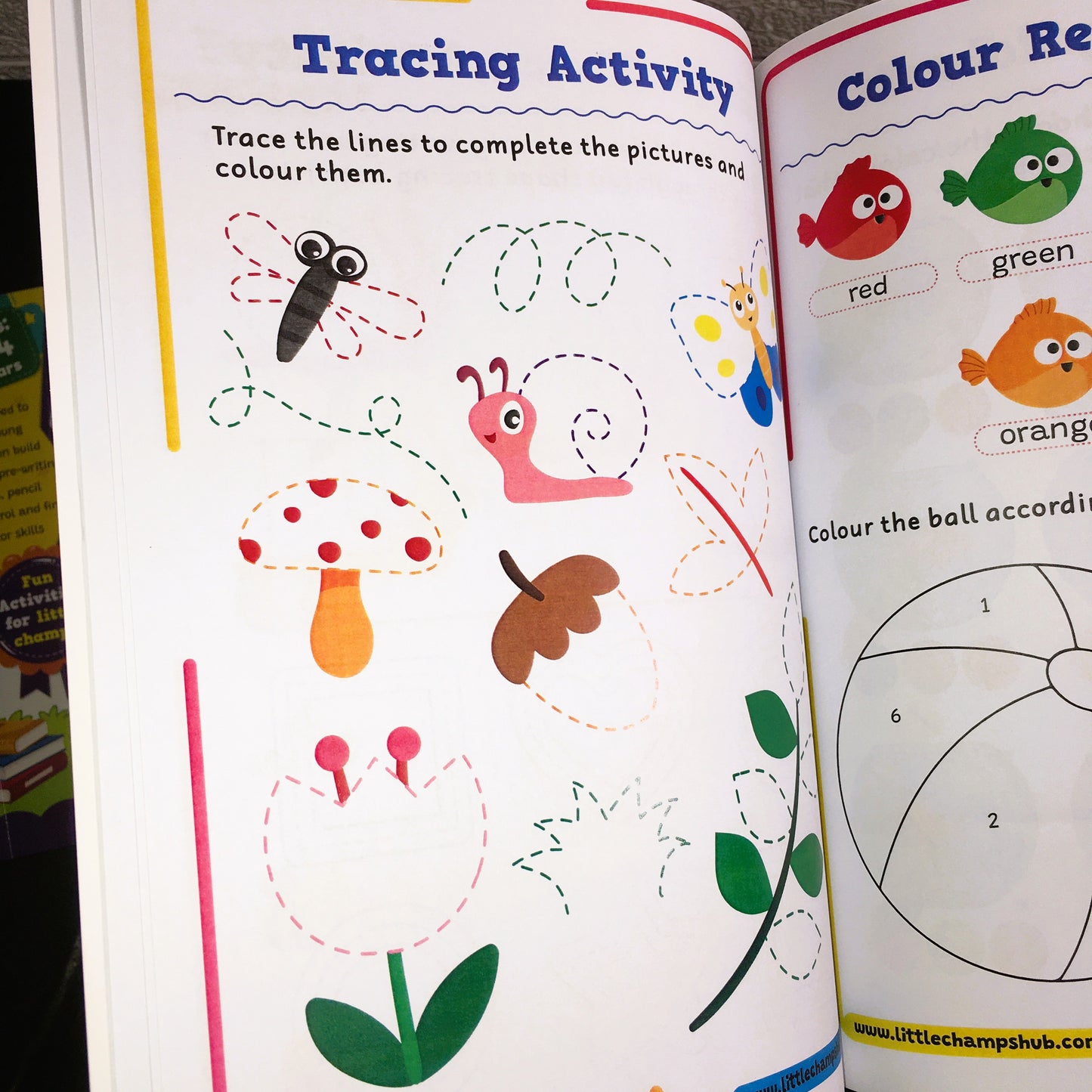 Toddler Pack | 5 Books Complete Course | Free Delivery (Azadi Sale)