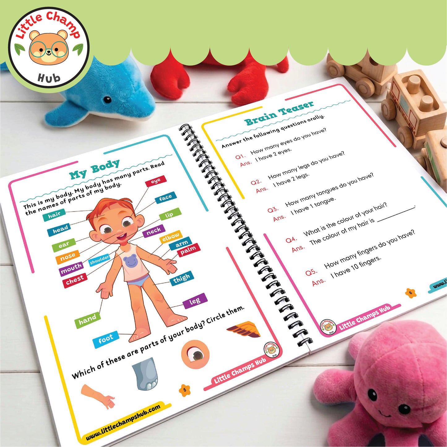 Toddler Pack | 5 Books Complete Course | Free Gift & Free Delivery