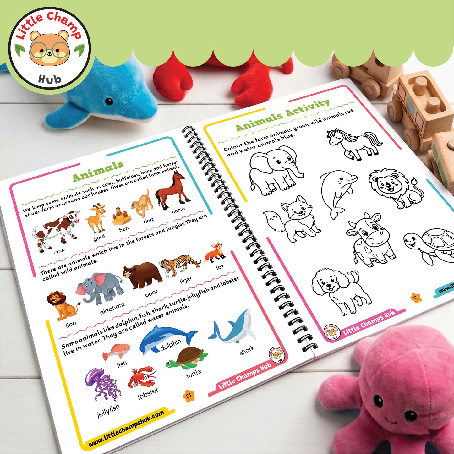 Toddler Pack | 5 Books Complete Course | Free Gift & Free Delivery
